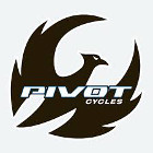 Pivot Cycles